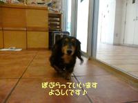 ゆっくり。。。 2015/02/07 10:00:00