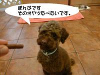 おともだち、できたよ♪ 2015/02/24 09:04:28