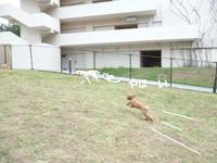 幸せな気分 2015/03/17 13:53:33