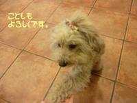 ぴょんっ♪ 2015/01/29 09:00:00
