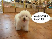 お留守番日記 2015/02/22 10:38:09