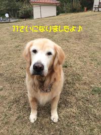 HAPPY BIRTHDAY♪