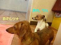 パワフル兄妹♪ 2015/04/03 10:00:00