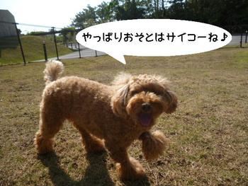 雑技団？