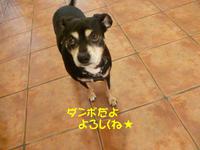あそびましょっ 2015/02/04 09:30:00