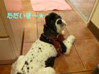 まってるもんｚｚｚ 2015/05/14 13:30:19