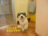 おいしそ～(*´Д｀) 2015/02/17 10:00:00
