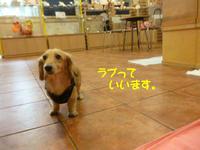 まかせて♪ 2015/04/10 09:30:00