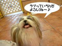サラサラ☆ 2015/04/27 10:00:00