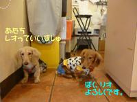 ねむたいよ～ｚｚｚ 2015/02/26 09:00:00