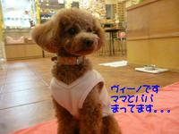 キューン/// 2015/01/16 09:00:00