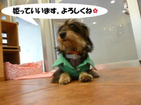 あたしのほうが。。。 2015/06/25 10:00:00