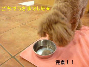 雑技団？