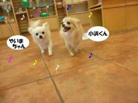 なかよしこよし 2015/02/12 14:14:37
