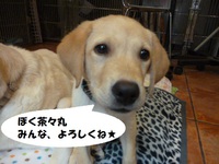 よろしくです♪ 2015/07/03 09:00:00
