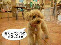 おやすみなさ～ぃｚｚｚ 2015/03/20 11:41:00