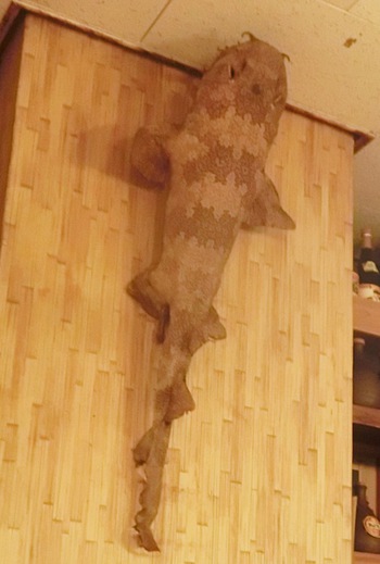 居酒屋 親子亭（那覇市首里石嶺町）