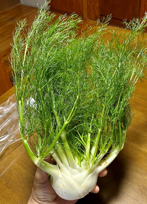 妻が作る朝ごはん（少し変わった野菜）