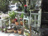 「ガーデン雑貨市」 2013/12/11 21:23:04