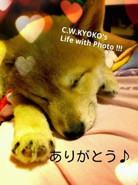 長期休業と仕事再開のお知らせ
