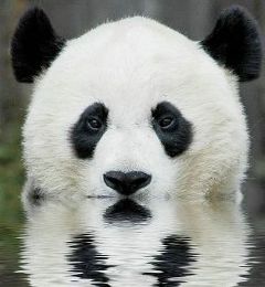 水風呂欲求