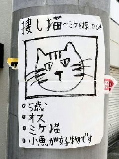 ﾐｹ猫