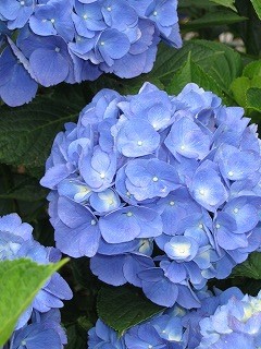 ｷﾚｲな写真ﾀﾞｧ━!!!