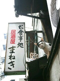 招き