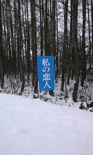 なんか怖いｯｯ