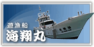 遊漁船 海翔丸