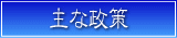 政策