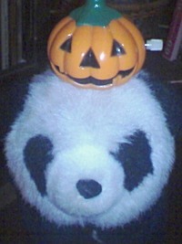 もうすぐ 2009/10/22 03:07:36