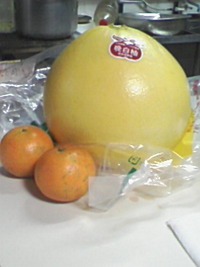 晩白柚 2010/01/23 04:55:43