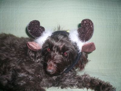 クリスマス用のカチュウシャ