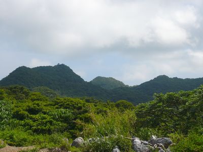 テラスから山も眺められます