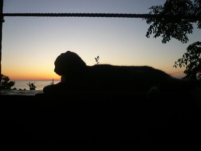 黄昏の夕方