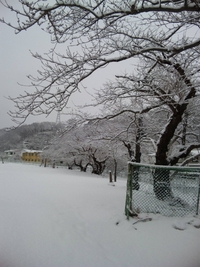 雪