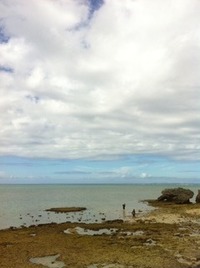 お墓参りo(^▽^)o 2011/10/01 08:35:18
