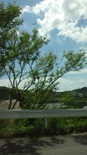 色々な１日 2011/09/23 22:14:08
