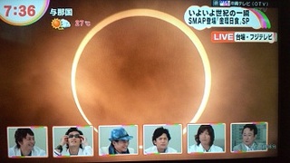 THE　AMBER