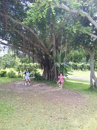 一歩進んで2歩下がる・・:-) 2010/08/31 18:00:29