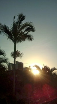 ベランダ景色