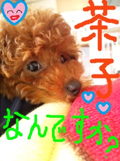 助けて～！！