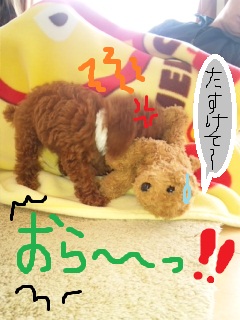 助けて～！！