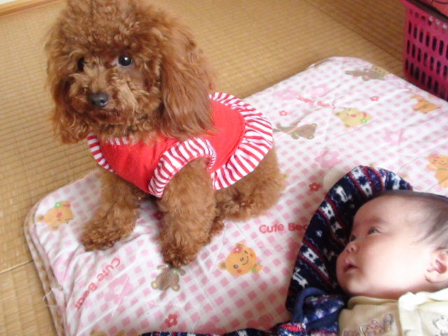 ♪ ** ワイヤーで可愛く ** ♪