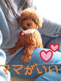 ついに来ました！