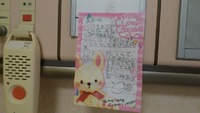 ｡＊*生まれます＊*｡