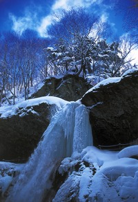 今年も・・・ 2011/12/31 21:37:48