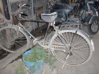 インドの自転車利用│歯いさい!BLOG