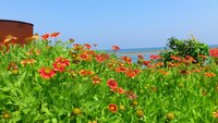 ストレスの持ち回り 2012/05/08 08:15:00